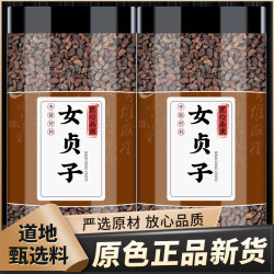山阳春 女贞子正品干货女真子搭墨旱莲旱莲草男女泡茶泡水煮水喝