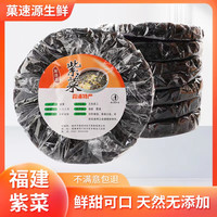 菓速源10包福建特产紫菜干货无沙免洗营养紫菜蛋花汤凉拌8克/包