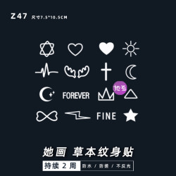 她画Z47小型贴纸图案草本纹身贴防水持久逼真女手指半永久小清新