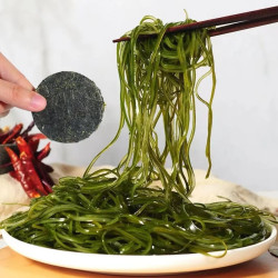 每片16g独立包装霞浦高品质烘干压缩海带丝免洗免煮热水泡发凉拌