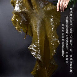 沧海码头海带干货无沙干净天然日晒高倍泡发精品海带