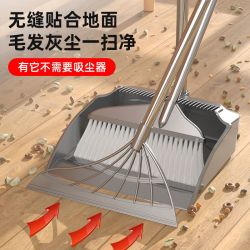 扫灰尘扫把塑料扫把簸箕室内扫帚笤帚家用不粘头发软毛扫地套装