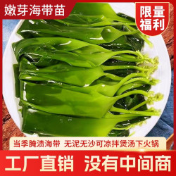 占久 嫩芽小海带200克*2袋 可凉拌煲汤提鲜
