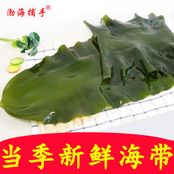 大连盐渍海带包饭嫩海带凉拌煲汤4.5斤