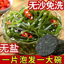 霞浦直供新鲜好吃压缩海带丝干货凉拌海带丝压缩小包装