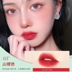 溥畔 豆沙色口红黄皮肤不掉色不沾杯不脱胡萝卜色防水显白定妆神器哑光