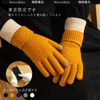 [外贸日单]日韩秋冬可触屏男女保暖手套弹力针织加厚加绒防寒手套