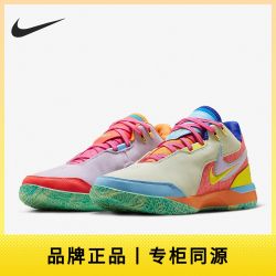NIKE Zoom LeBron 男款篮球鞋 FJ1567-501