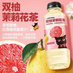 伊刻活泉 双柚茉莉花茶500ml*15瓶100%真茶萃取