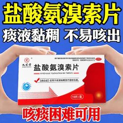 九芝堂 盐酸氨溴索片化痰祛痰氨溴索止咳化痰片痰液粘稠药片口服片
