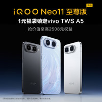 iQOO Neo11 至尊版 手机 12GB+256GB 乘风