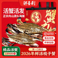 鲜喜利 鲜活特大活蟹舟山螃蟹 飞蟹 4-6两/只4斤 梭子蟹活发到手7-9只