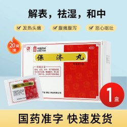 冯了性 中国药材 保济丸 20袋