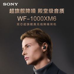 索尼 WF-1000XM6 双芯降噪 真无线耳机