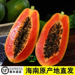 金叹 树上熟 红心木瓜  散装 1g