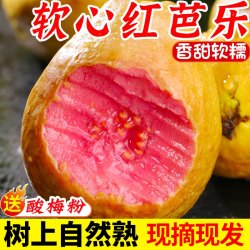 寻好果 广西软糯红心芭乐5斤新鲜水果番石榴脆甜软糯胭脂红巴乐整箱包邮3