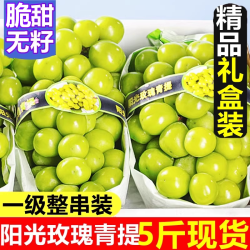 趣果篮 晴王阳光玫瑰葡萄5斤青提子当季新鲜水果整箱应礼盒无籽香印顺丰