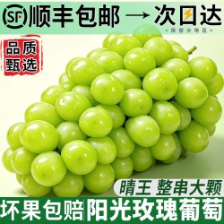 绿念 阳光玫瑰葡萄新鲜水果晴王葡萄无籽香印提子青提当季现摘整箱顺丰