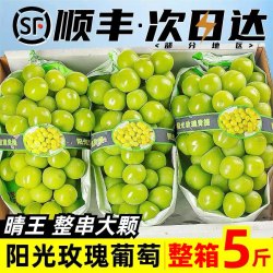 乡里彩虹 阳光玫瑰葡萄5晴王新鲜无籽香印青提水果礼盒应当季整箱3