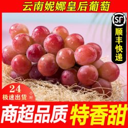 鲜果翠 顺丰妮娜皇后葡萄葡萄尼娜女皇新鲜孕妇提子新鲜水果当季颗粒装