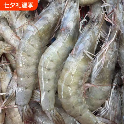 冠鲜 鲜活冷冻白对虾盐冻单冻大虾 海捕白虾生鲜海鲜水产速冻海虾