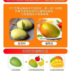 四川攀枝花凯特芒果当季新鲜水果现摘超甜彩虹芒大青吉禄芒果整箱