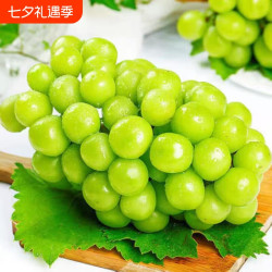 阳光玫瑰葡萄当季水果当天采摘发货京东包邮施农家肥口感正宗