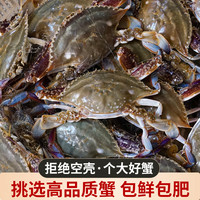 鲜喜利 舟山梭子蟹 4-6两/只 4斤装 7-9只 生鲜海蟹