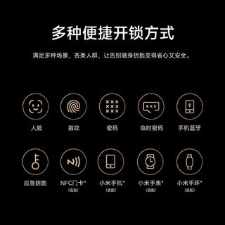 小米 XMZNMST10LK 3D人脸识别智能门锁
