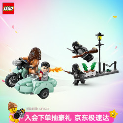乐高 哈利·波特系列 76459 海格与哈利的女贞路逃生