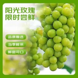 京鲜生 阳光玫瑰葡萄 净重2.8-3.3斤 单果8-10g葡萄/提子 源头直发