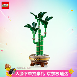 乐高 积木10344 心动的信号同款富贵竹男女孩玩具七夕情人节礼物