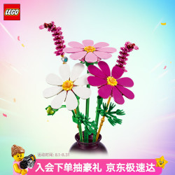 乐高 积木11514 心动的信号同款波斯菊男女孩儿童玩具七夕情人节礼物