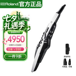Roland AE20/AE30电吹管电子萨克斯吹管成人老年人电子管吹奏乐器+琴包