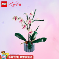 乐高 Botanical Collection植物收藏系列 10311 兰花