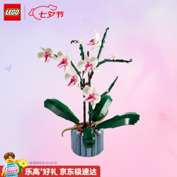 乐高 Botanical Collection植物收藏系列 10311 兰花