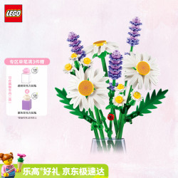 乐高 雏菊拼插积木