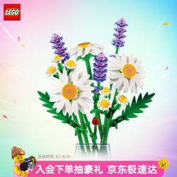 乐高 雏菊拼插积木