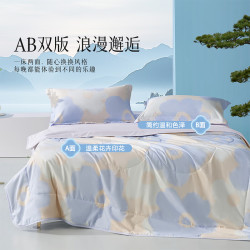 百丽丝 水星家纺 可水洗A类夏凉被 空调被夏季150cm*200cm