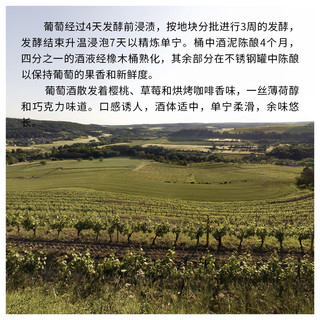 安东尼罗德 甄选黑皮诺干红葡萄酒 187ml
