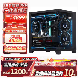 七彩虹 AMD锐龙5600 RTX5060台式diy组装电脑主机游戏整机