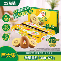 佳沛 阳光金果 奇异果 巨大果 单果146-174g 22个