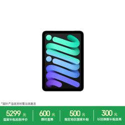 Apple iPad mini 7 2024款 平板电脑（A17 Pro、256GB、WLAN版、深空灰色）
