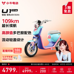 小牛电动 U1 one 电动自行车 48V30Ah锂电