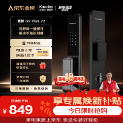凯迪仕 Q9 Plus V2 指静脉识别 智能门锁