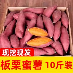 言觉 红薯 精选带箱9-10斤装