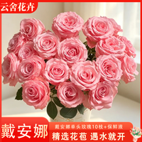 云舍花卉 戴安娜单头玫瑰送礼求婚手捧花【10枝】戴安娜单头玫瑰 普通款