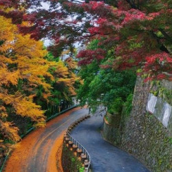 莫干山天籁之梦日出度假酒店 躺观日出·元气私汤大床房（城堡景·临窗深泡浴缸）2晚(可拆分)