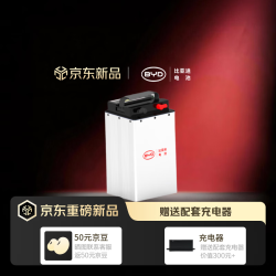 比亚迪 电动车 锂电池76V30Ah「80-100km续航」【赠送10A充电器和头盔】