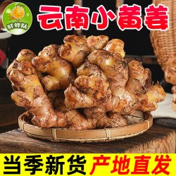鲜蜂队 云南小黄姜姜块带泥土发货生姜3斤蔬菜